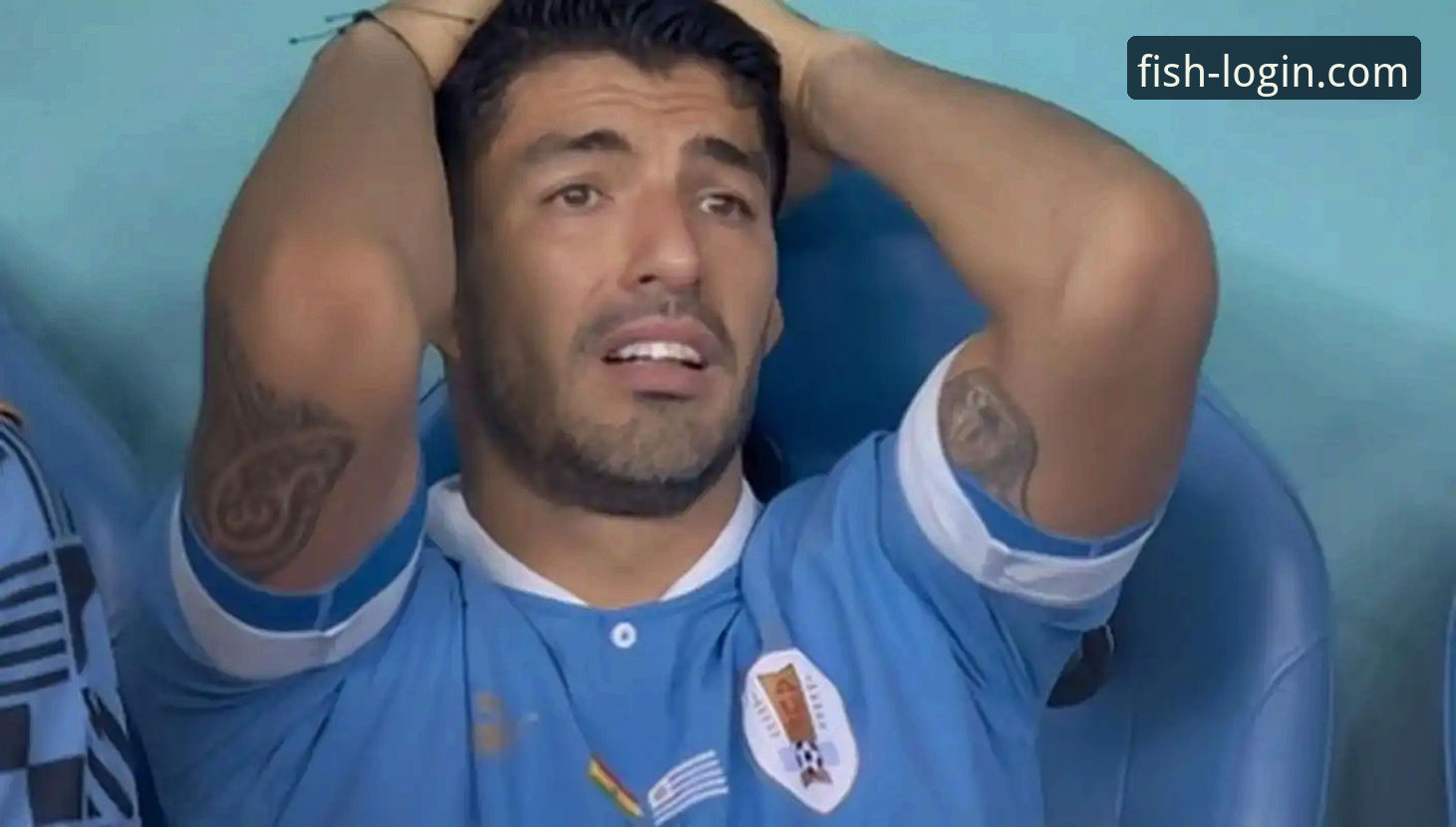 乐鱼在线平台 资深球迷分享:在乐鱼体育平台深度解析奥地利5-1大胜加纳的观赛心得